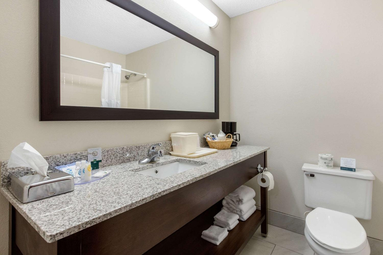 Bathroom 3, Quality Inn & Suites Mountain Home North, Baxter