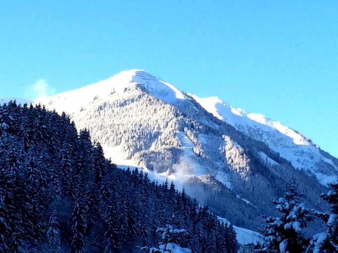 Others 4, Studio in Saalbach near Ski Slopes, Zell am See