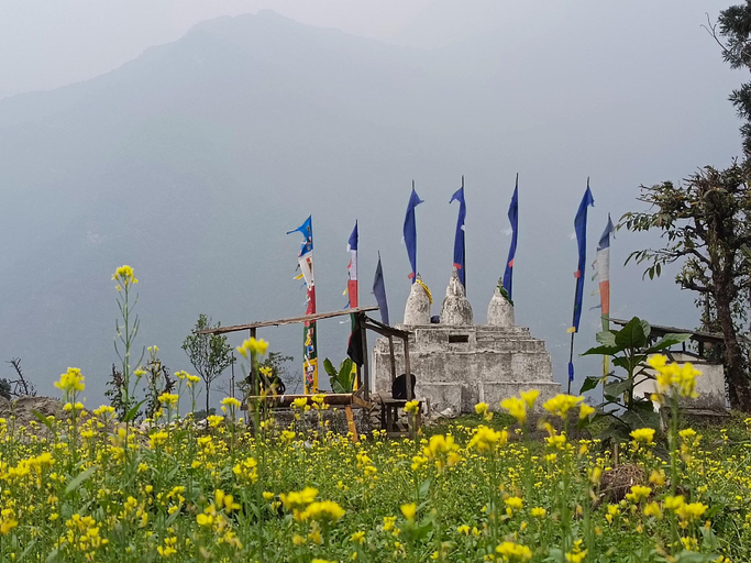 Others 4, Tongdenlee , North Sikkim