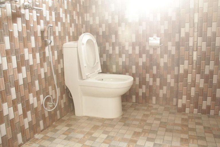 Bathroom 3, Hotel Brothers Inn, Gandaki