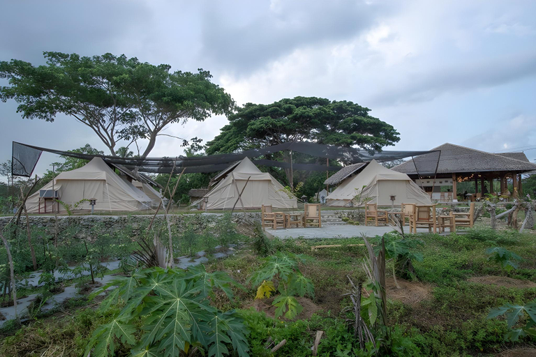 Others 4, The Acacia Glamping Park, Carmen