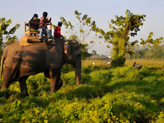 Others 4, Jungle Nepal Resort, Narayani