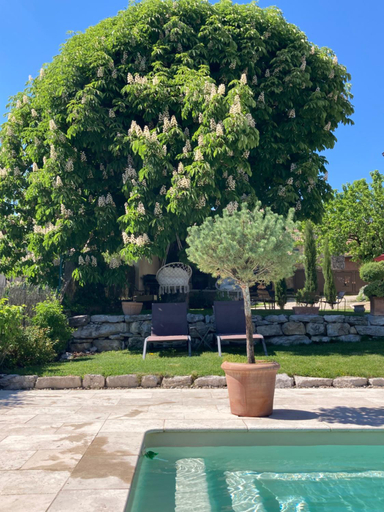 Others, Le Clos Bo-m, Ain