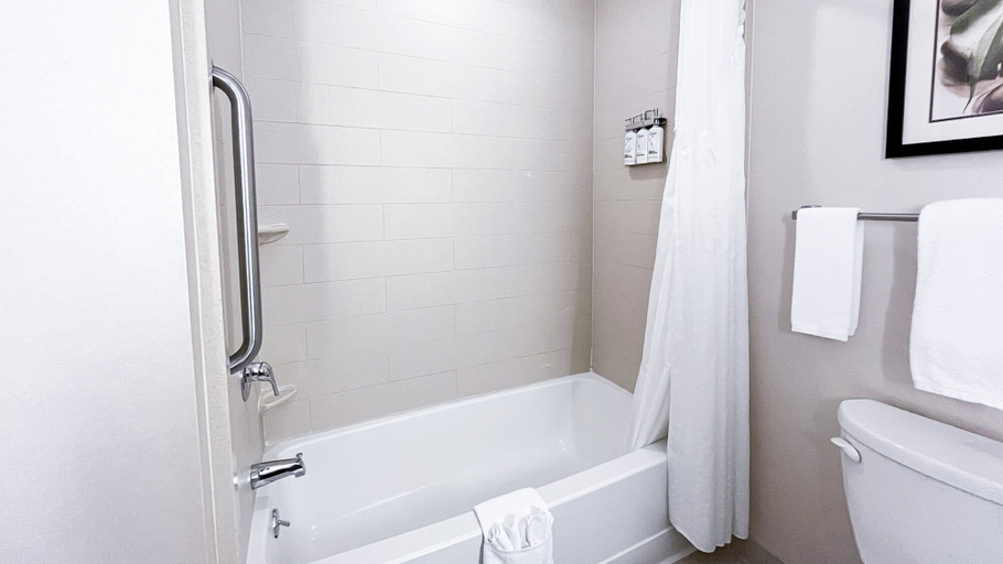 Bathroom 5, Holiday Inn Express & Suites MORTON PEORIA AREA, Tazewell