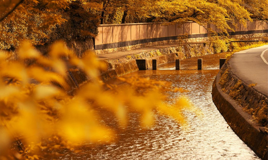 2, "NAGOMI"Kyoto Okazaki, Kyoto