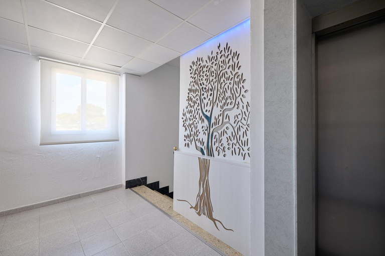 5, Apartamentos Isla Del Sol, Baleares