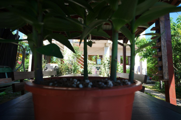 Others 2, Casa Ramia, Limanu