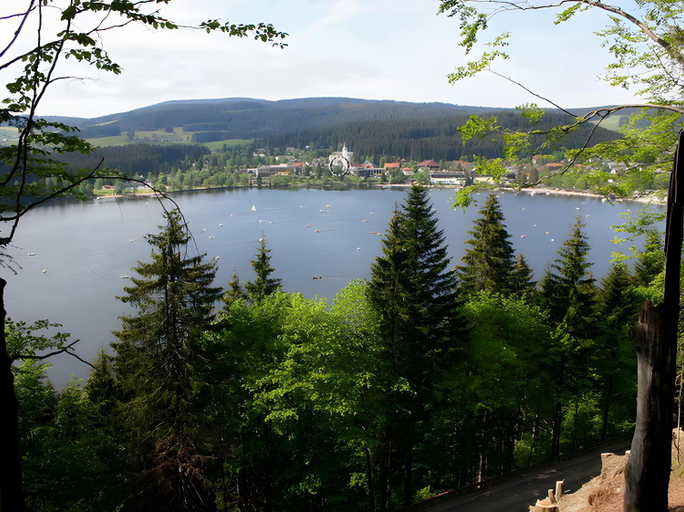 Others 5, Haus Am Tannenhain, Breisgau-Hochschwarzwald