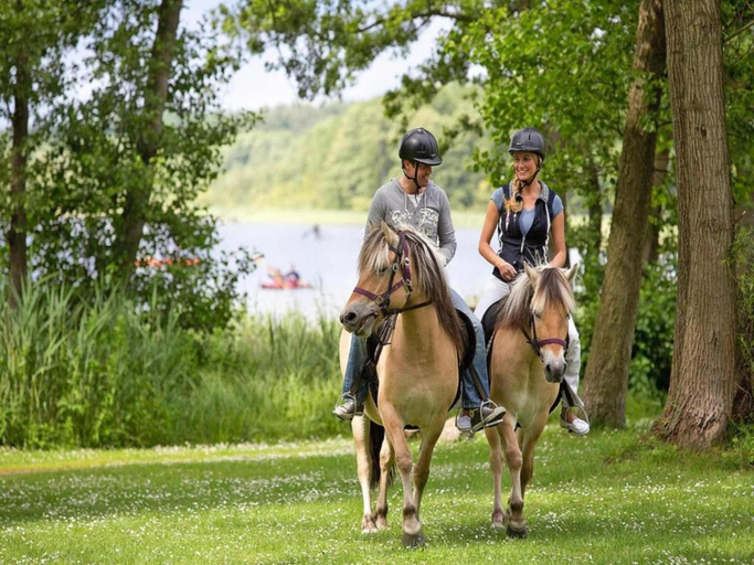 Others 5, Ferienhaus im Ferienpark Mirow, Mecklenburgische Seenplatte