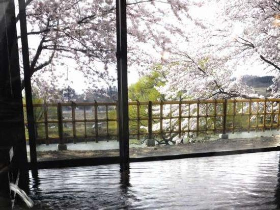 Others 4, Cherry Park Hotel, Sagae