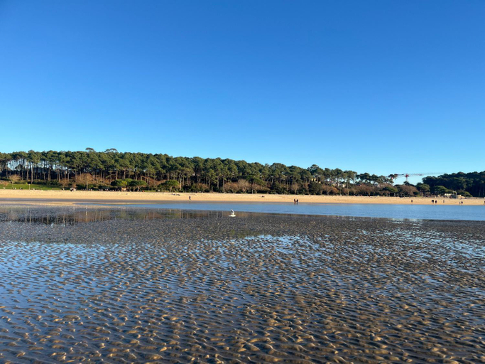Others 5, Le P’tit Bois Dore, Gironde