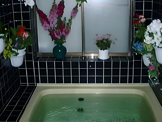 Bathroom, Pension Catchball, Tateyama