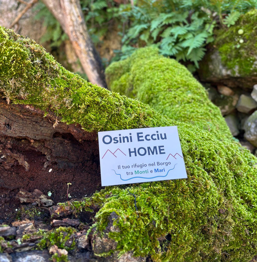 Others 4, Osini Ecciu Home, Ogliastra