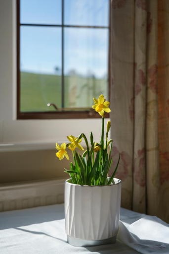 Others 4, Pardon Hill Farm B&B, Gloucestershire