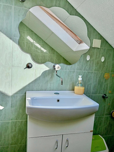 Bathroom 3, Putnicka kuca kod Dragane, Bajina Bašta