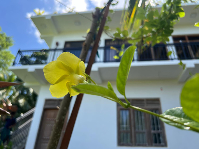 Exterior & Views, Adithya Seaview Villa - Tangalle, Tangalle