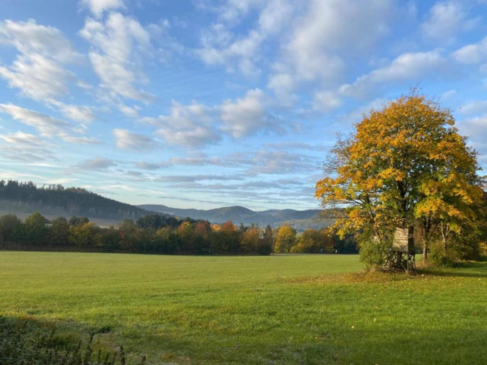 Others 4, Ferienwohnung Oberschledorner Wald, Hochsauerlandkreis