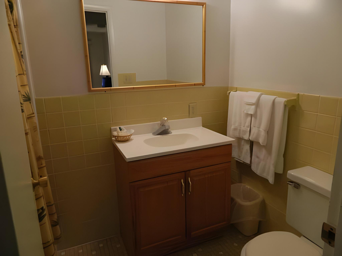 Bathroom 3, River Road Motel, Columbia