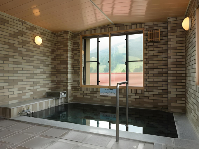 Bathroom 4, Hotel Hakuba Berg-Land, Hakuba