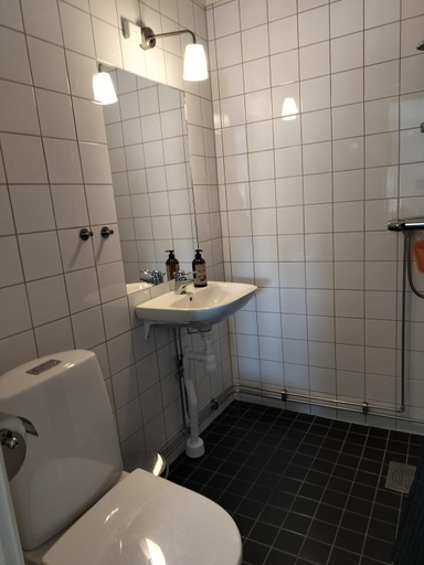 Bathroom 2, Pilane B&B, Tjörn