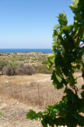 Surrounding environment 2, PANORAMA, Faistos