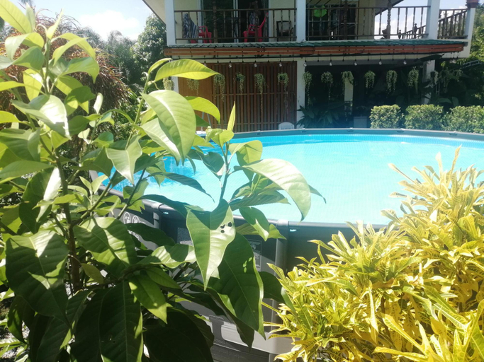 Sport & Beauty 2, Bed & Breakfast To-Co, Sichon