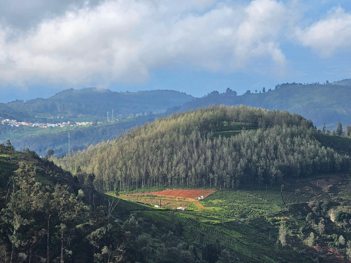 Others 4, KALON ELPIS Tea Estate 4BHK Villa , The Nilgiris