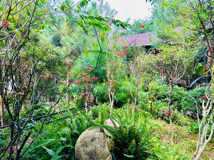 Others 5, BAZAN HOME - Hotel & Bungalow, Pleiku
