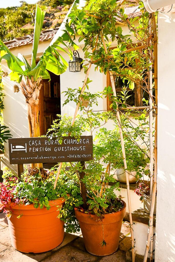 Others 5, Casa Rural Chamorga - Pension - Guesthouse -, Santa Cruz de Tenerife