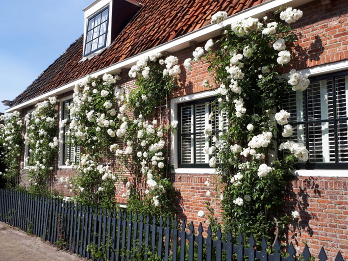 Others 2, het Binnenhuis, Nijefurd