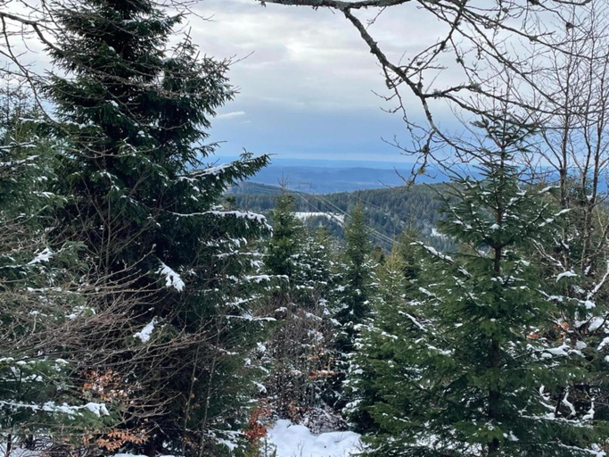 Others 4, House in Vosges near Forest and Hiking Trails, Vosges