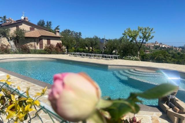 Sport & Beauty, B&B Madonna Carradori, Ancona