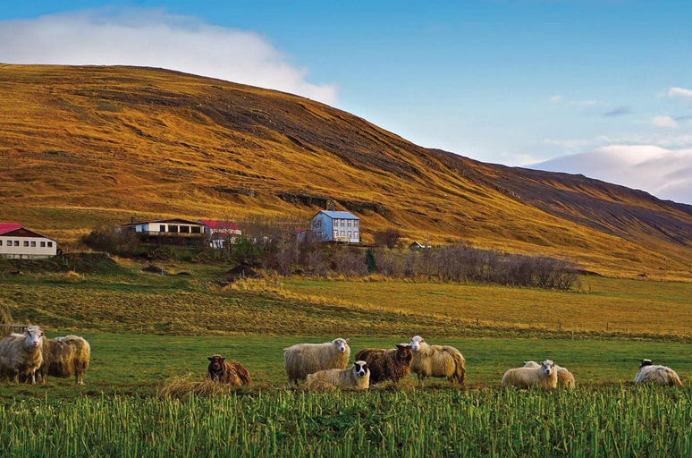 Others 5, Saudafell Guesthouse, Dalabyggð