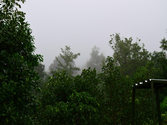 Others 2, Solitude Munnar, Idukki
