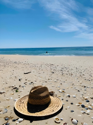 Others 5, Moonbird Beach Shack ~ Ocean Escape, Break O'Day