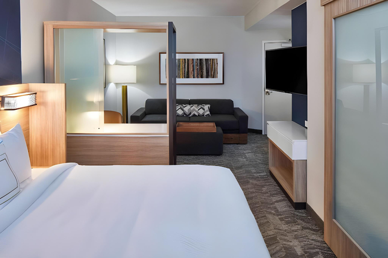 Bedroom 4, SpringHill Suites Nashville Downtown/Convention Center, Davidson