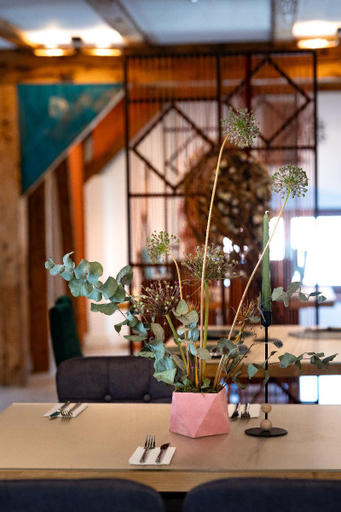 Food & Drinks 5, Wanderer Sighisoara, Sighisoara