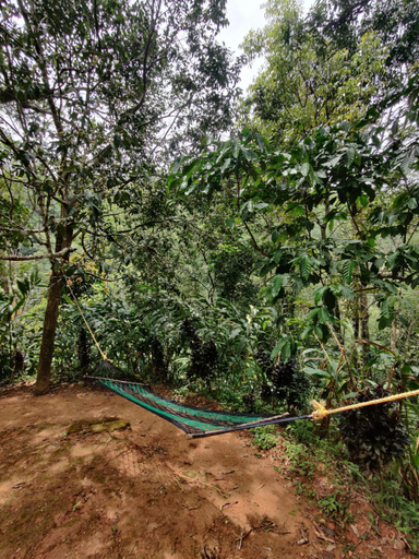 Others 4, Sunleo Spice Villas , Idukki
