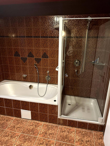 Bathroom 5, Large apartment for 3-10 people near Halle and Leipzig, Saalekreis