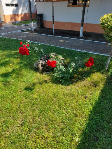 Others 4, Complex DUNAREA Saturn, Mangalia