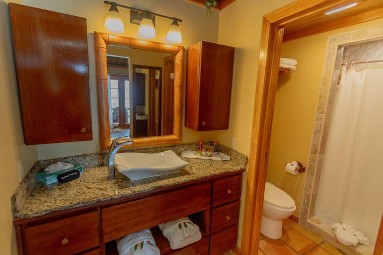 Bathroom 5, Ramon's Village Resort