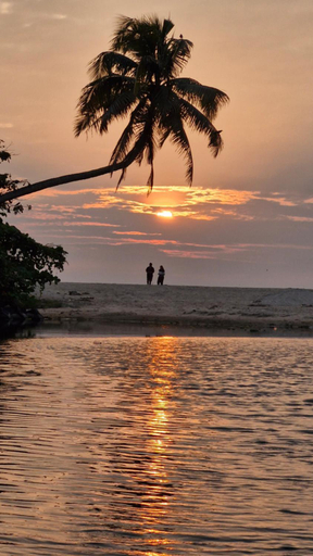 Others 5, Gypsea Marari, Alappuzha
