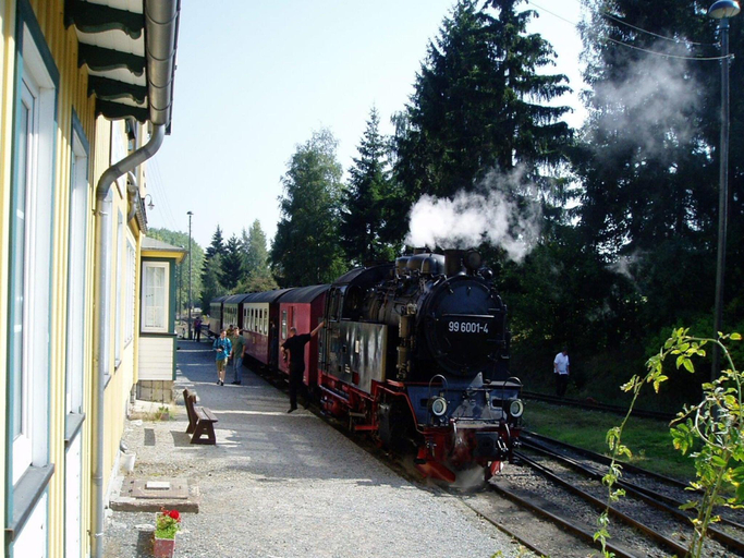 Others 5, Doppelhaushalfte in Hasselfelde, Harz