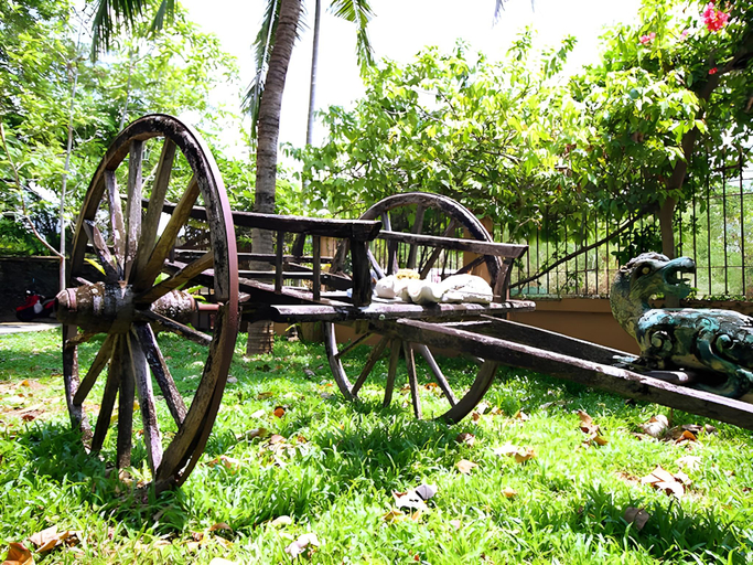 Others 2, Phuket Cleanse, Phuket Island