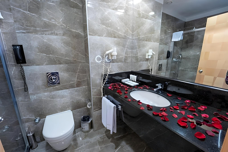 Bathroom 5, METROPOLITAN HOTELS ANKARA, Çankaya