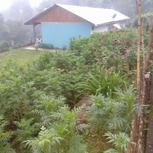 Others 2, Sai Lakshmi Homestay, Darjiling