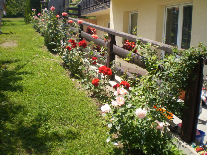 Others 3, Apartments Vila Velickovic, Čajetina