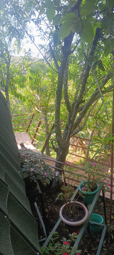 Others 5, 4REST INN PRIVATE LIMITED, Dindigul