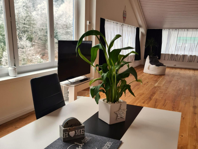 Others 5, Muota River Loft & Muota Industry Apartment near Stoos, Schwyz