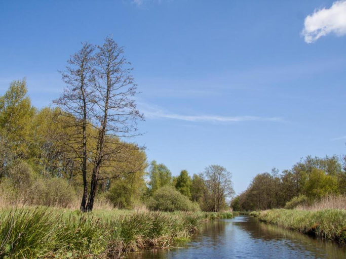 Others 4, Villa by Tjeukemeer with Private Jetty, Lemsterland